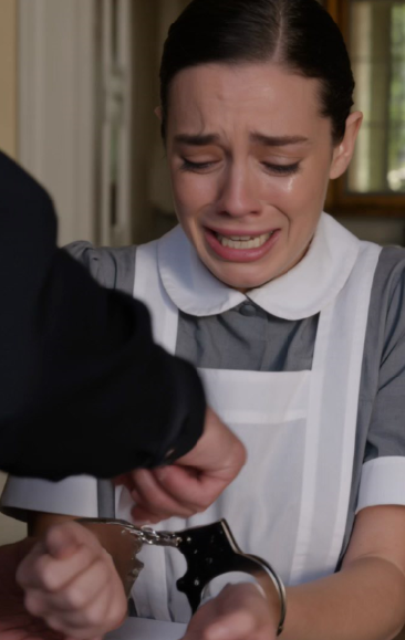 A Wealthy Mother Framed the Devoted Maid, but Her Son Discovered the Shocking Truth…