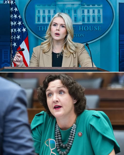 Katie Porter West Wing Ban Sparks SHOCK As Leavitt Delivers Blunt Warning.HT