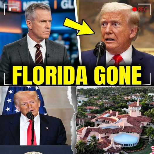 Trump's Own Party LOSES 3 Florida Seats LIVE After Shock Republican COLLAPSE