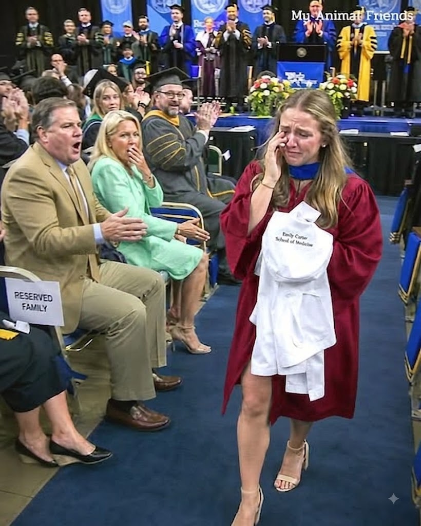 My Parents Abandoned Me During My Cancer Battle, But Had the Audacity to Claim Reserved VIP Seats at My Graduation
