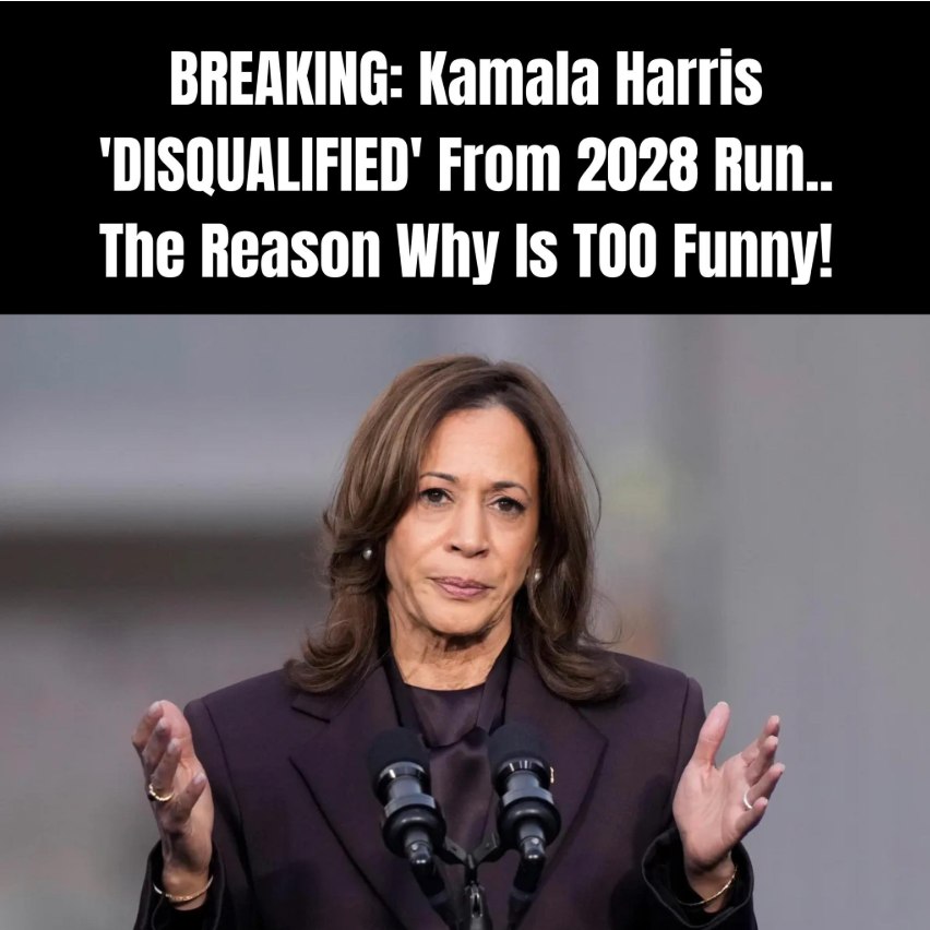Carville Tells Kamala Harris That Dems Want Nothing To Do With Her In 2028