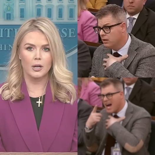THIS JUST HAPPENED: Shocking Fallout—Reporter FIRED After INSULTING Karoline Leavitt on Live TV!- veve