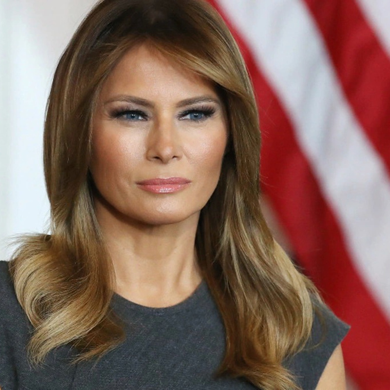 Judge Tosses Wolff Suit, Clearing Path For $1B Melania Claim HH