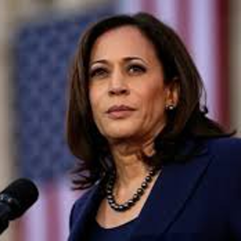2024 DNC Report Reveals Just How Bad Party Screwed Up Harris’s Campaign HH