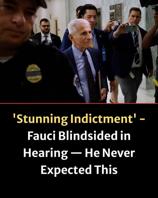 ‘Stunning Indictment’: GOP Senator Tears Into Fauci