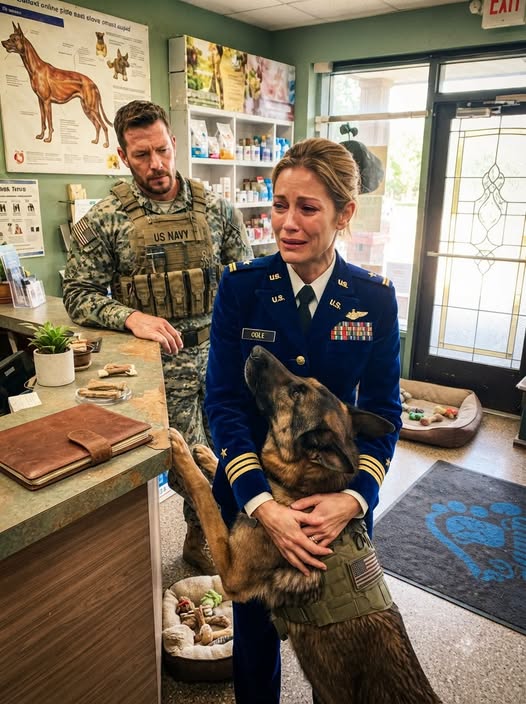 THE DOG WHO REMEMBERED THE DEAD — A Navy SEAL Brought Ghost Into My Clinic, Then One Secret Word Exposed a Seven-Year Lie**