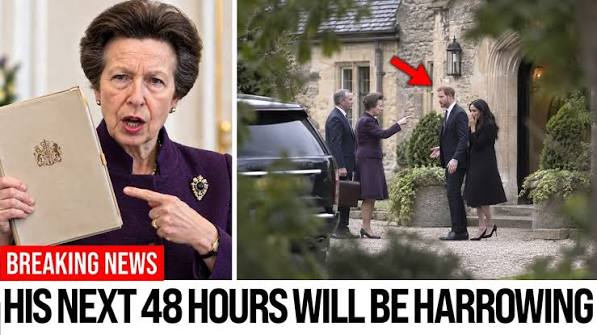 The Palace Enforcer: Princess Anne Crushes Harry's UK School Plot