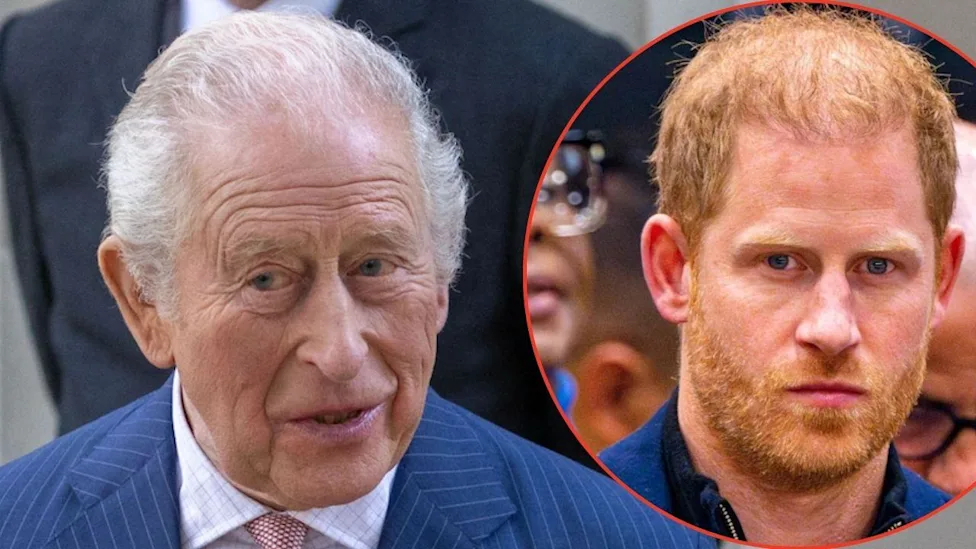The Sussex Trojan Horse: Palace Warns King Charles of Secret Agenda