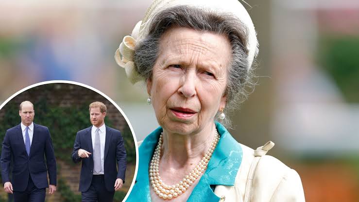 “DRAW THE LINE WITH HARRY — OR I WILL.” — PRINCESS ANNE’S COLD ULTIMATUM ROCKS THE ROYAL FAMILY