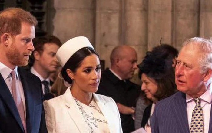 THE ULTIMATE BETRAYAL — Prince Harry And Meghan Markle’s Shocking New Apology Plan That Will Push Prince William Over The Edge