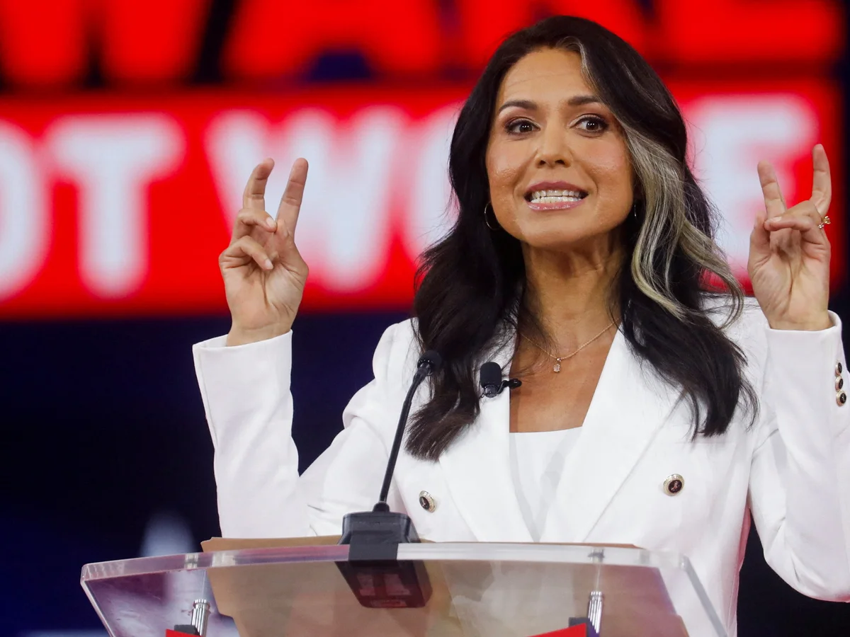 THE ULTIMATE BETRAYAL: TULSI GABBARD'S SHOCKING NEW MOVE THAT HAS DEMOCRATS IN FULL PANIC!