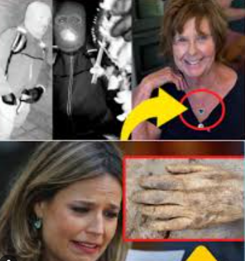 omg 20 1 Minutes ago in Arizona, Savannah Guthrie was confirmed as… See more