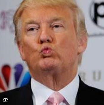 A Reflective Moment From Donald Trump
