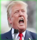 O m gg Uncovered Goldman Sachs File Sparks New Questions About Trump’s Epstein Connections