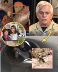 oh my god A MOTHER FOUND… A FAMILY SHATTERED: The Tragic Death of Nancy Guthrie and the Shocking Arrest That Revealed a Betrayal No One Saw Coming .🚨”. ee