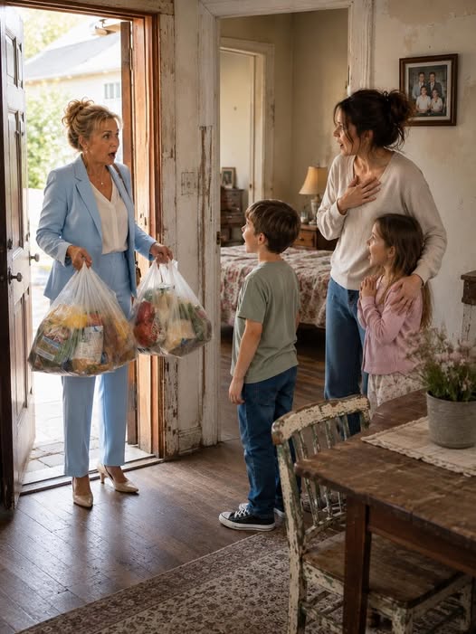 My Mother-in-Law Quietly Came to Surprise Her Grandchildren—Only to Discover Her Son Had Left His Wife and Children Months Earlier. She Thought That Was the Worst Secret He Had Kept From Her… Until My Father-in-Law Started Asking Questions and Uncovered What Had Really Been Happening