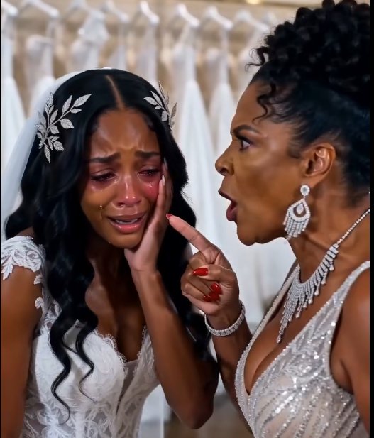 A Millionaire Sl@pped a Bride in a Designer Showroom…