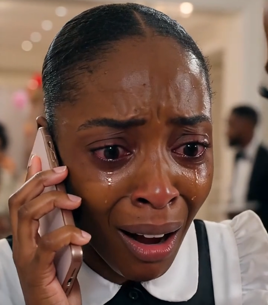 A rich woman humiliated a maid over a broken glass at a luxury gala…