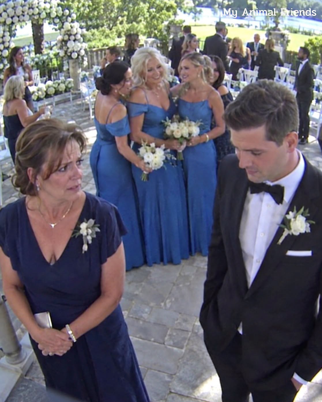 My Son’s Bride Told Me Blue Was “For Family” — Then He Stood Up at His Own Wedding and Told Everyone the Truth