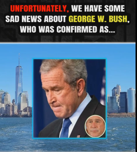Former President George W. Bus h recent