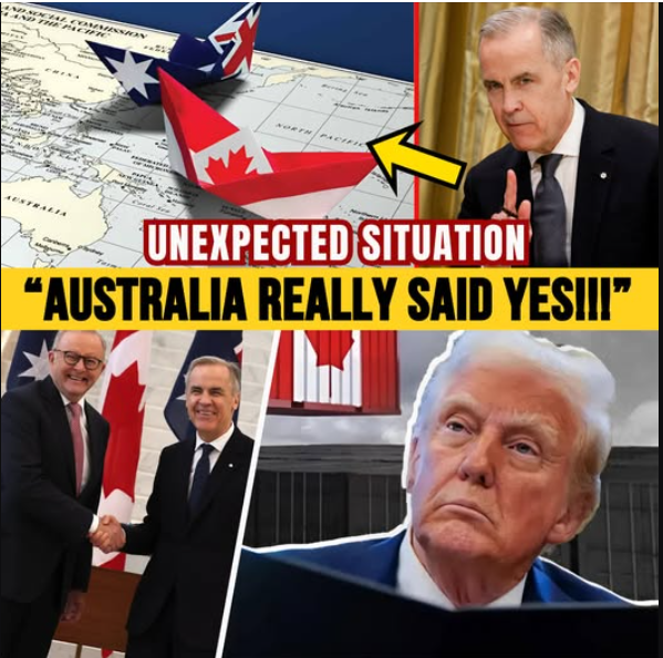 Carney Just Sat in Australia’s Cabinet Meeting — What He Proposed Could Reshape Strategic Talks