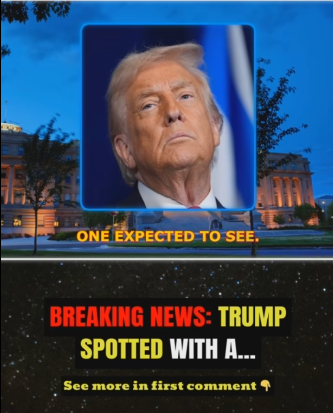 Breaking news: Trump spotted with a...See more