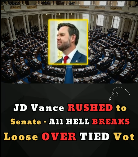 Vice President JD Vance Rushed to Senate - All Hell Breaks Loose Over Tied Vote