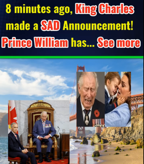 PALACE IN CRISIS AS KING CHARLES REVEALS PRINCE WILLIAMS LIFE ALTERING DECISION THAT HAS CHANGED THE MONARCHY FOREVER