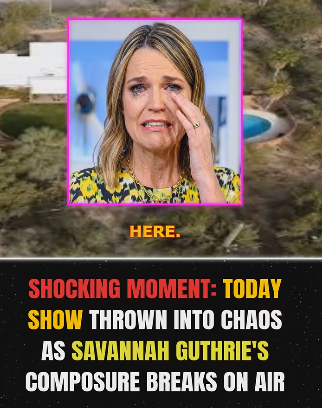dSavannah Guthrie Collapses Live On The Today Sho - story