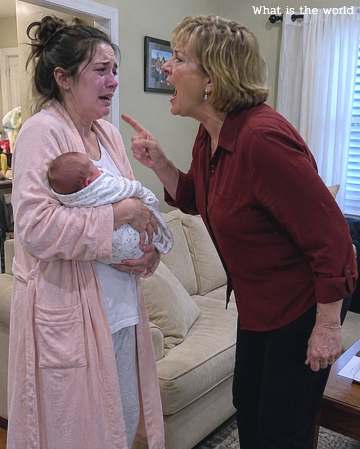 1.I gave birth to my daughter completely alone — and only hours later, my mother sent me a text saying, “Your sister’s kids need new phones. Send $2,000.” I said nothing. But a week later, she showed up at my front door yelling, “What’s wrong with you?” … and that was the exact moment something inside me finally snapped.