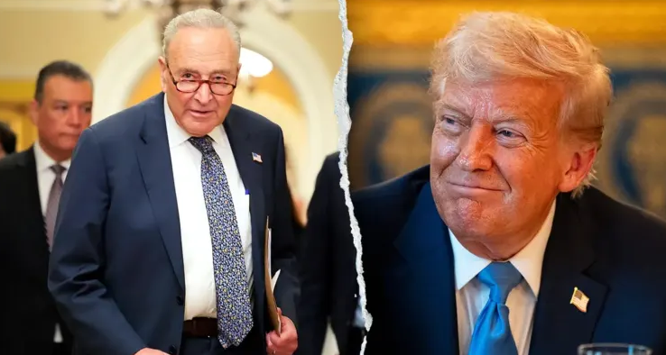 Senate Minority Leader Chuck Schumer BETRAYED - Democrats Break Ranks, Hop On the Trump Train In Humiliating Defeat