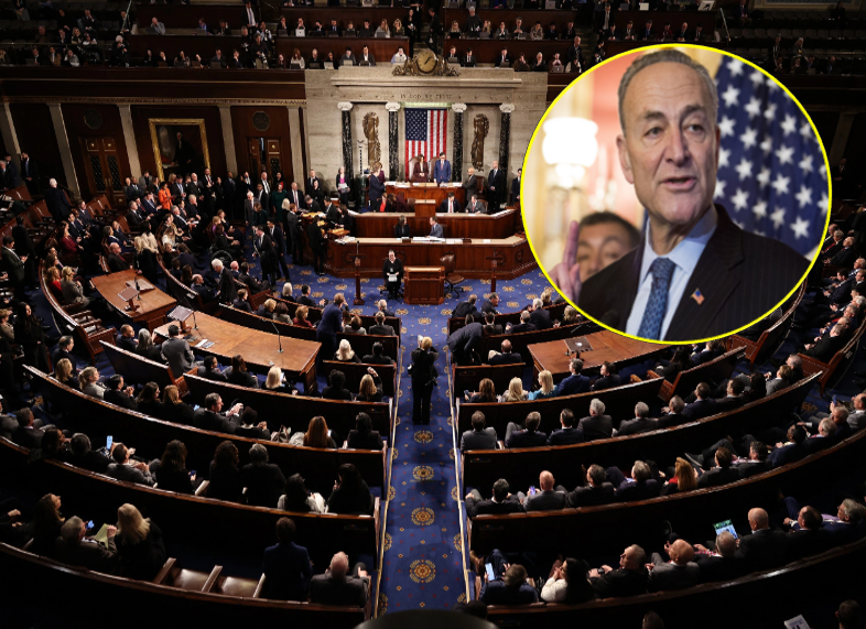 Schumer Threatens To Shut Govt Down Amid Fury From Base