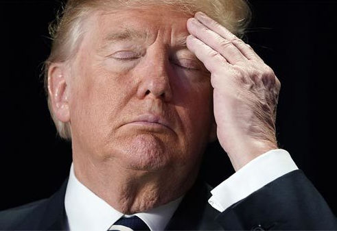 2O m g Uncovered Goldman Sachs File Sparks New Questions About Trump’s Epstein Connections