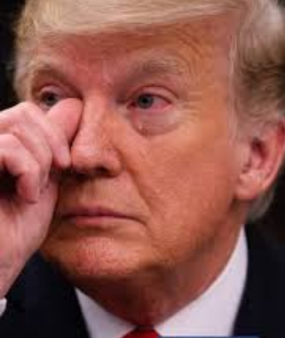 New Trump Air Force One Fall Claims Unverified