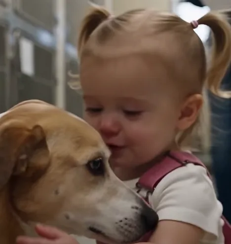 THE SHELTER DOG REFUSED TO LET GO OF HER LE