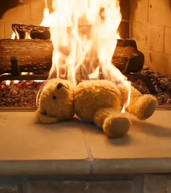Rosanna Lucchesi ripped the old stuffed bear from four-year-old Elliot’s arms and threw it directly into the fireplace.