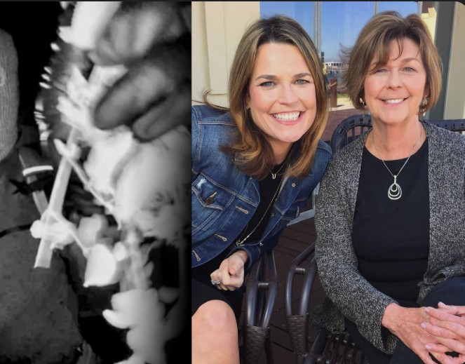 A MOTHER FOUND… A FAMILY SHATTERED: The Tragic Death of Nancy Guthrie and the Shocking Arrest That Revealed a Betrayal No One Saw Cominggg