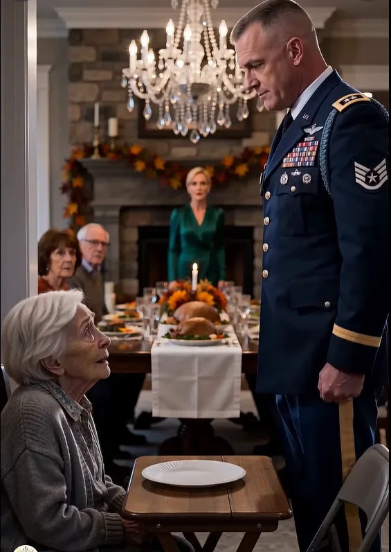 THE CHRISTMAS PLATE — MY DAUGHTER-IN-LAW HUMILIATED ME IN FRONT OF THE WHOLE FAMILY, BUT MY DECORATED SON CAME HOME WITH THE ONE DOCUMENT THAT COULD TAKE EVERYTHING FROM HER