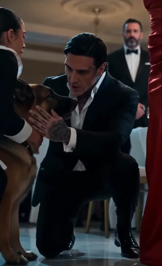 The Mafia Boss’s Fiancée Said His Old Dog Was Dead—Then I Carried Him Into the Engagement Dinner