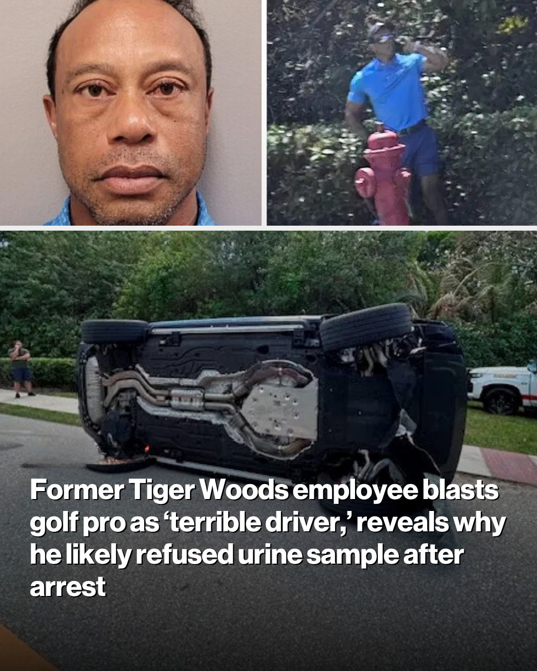 Tiger Woods’ pal blasts golf pro as ‘terrible driver,’ reveals why he likely refused urine sample after arrest