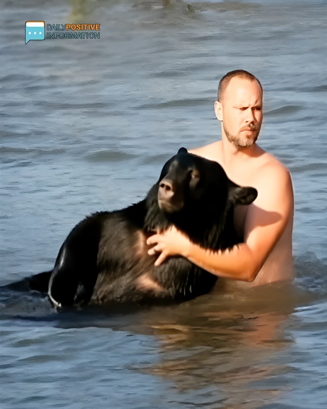 A 400 Pound Black Bear Was Drowning In The Ocean, But One Man Refused To Let That Happen