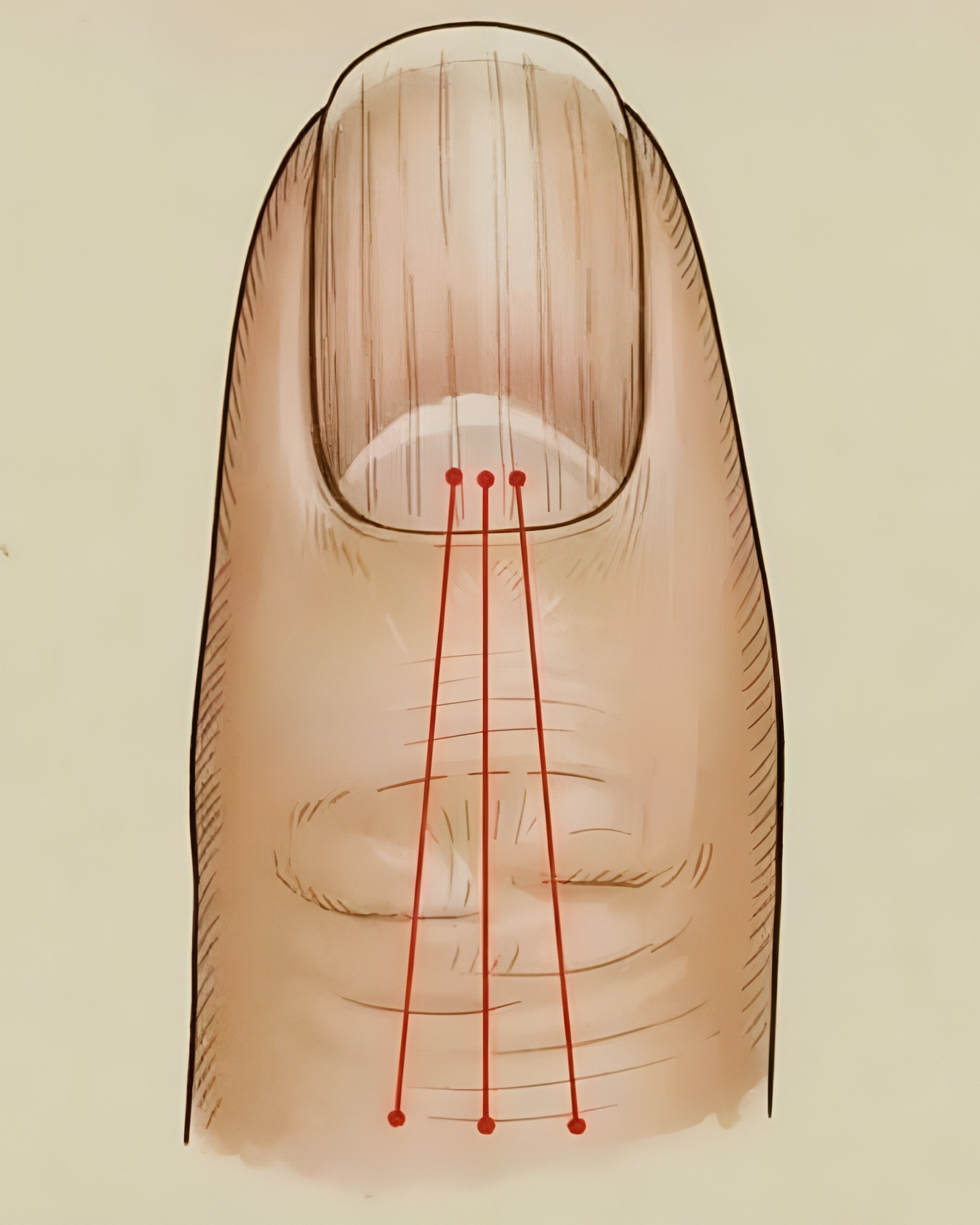 Longitudinal ridging explained – how it reflects your health