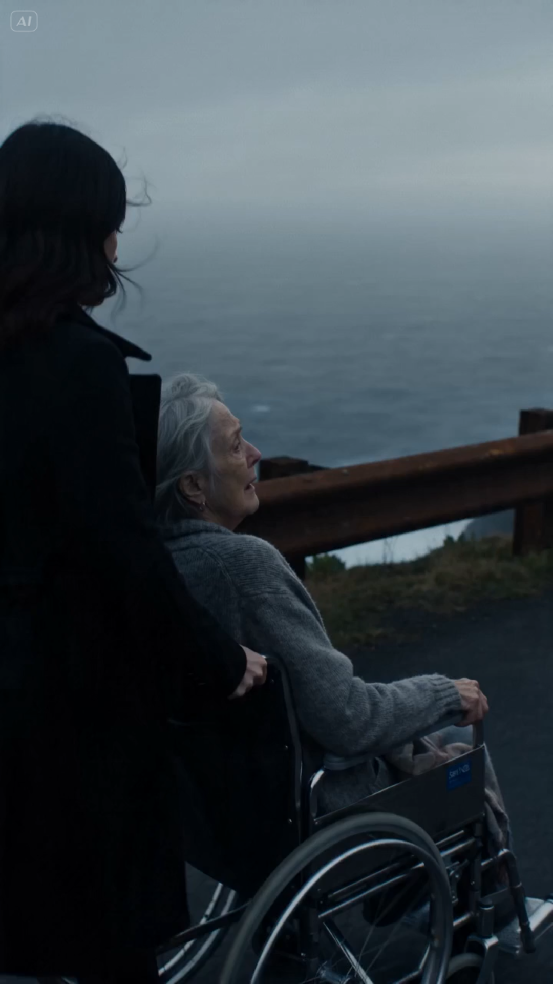 SHE PUSHED HER MOTHER-IN-LAW TOWARD A CLIFF FOR THE INHERITANCE — THEN THE SUV HEADLIGHTS EXPOSED EVERYTHING