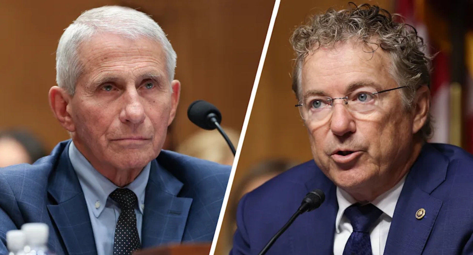 Rand Paul Finds Brilliant Way to Prosecute Fauci: '5 Years In Jail'
