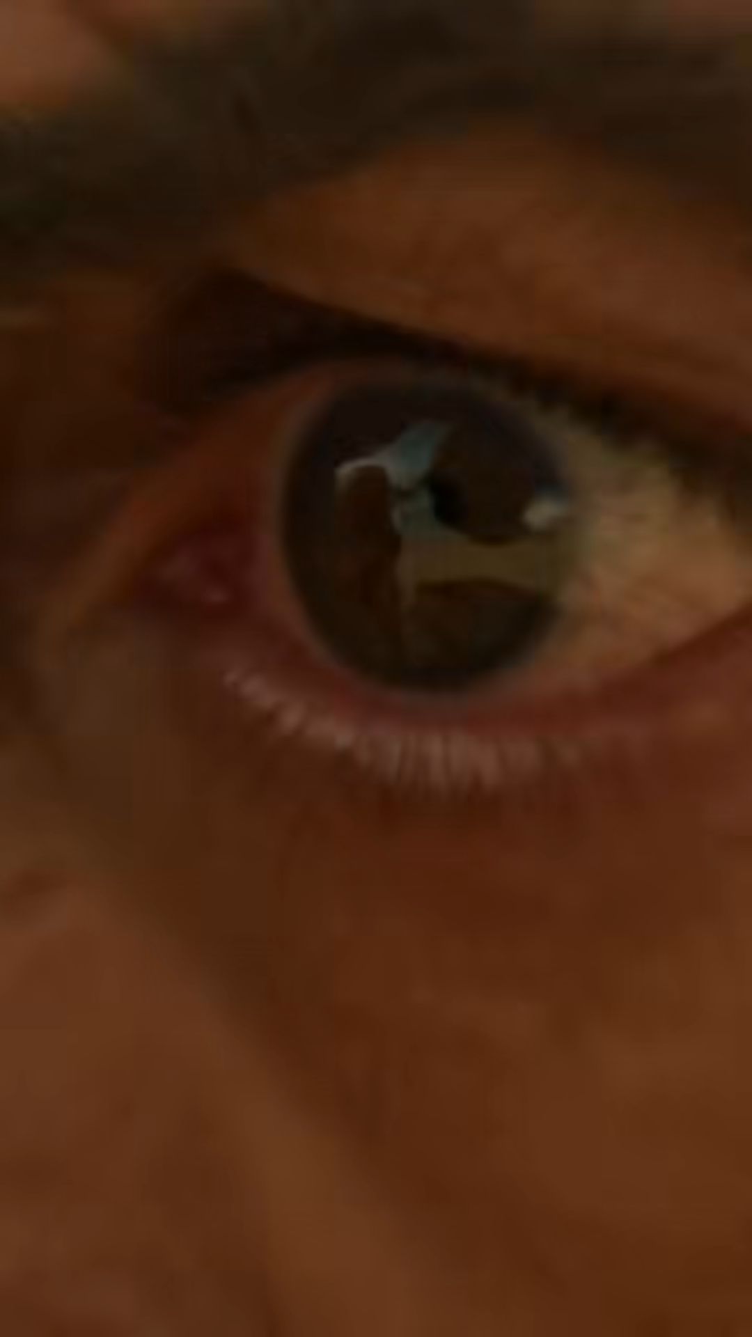 The biker yard went silent the second the kid hit the ground. A tiny metal motorcycle clanged across the dirt—and suddenly no one was laughing anymore. He was crying, begging them to buy it. Then he said something that changed everything… and made the most feared man there go completely still.