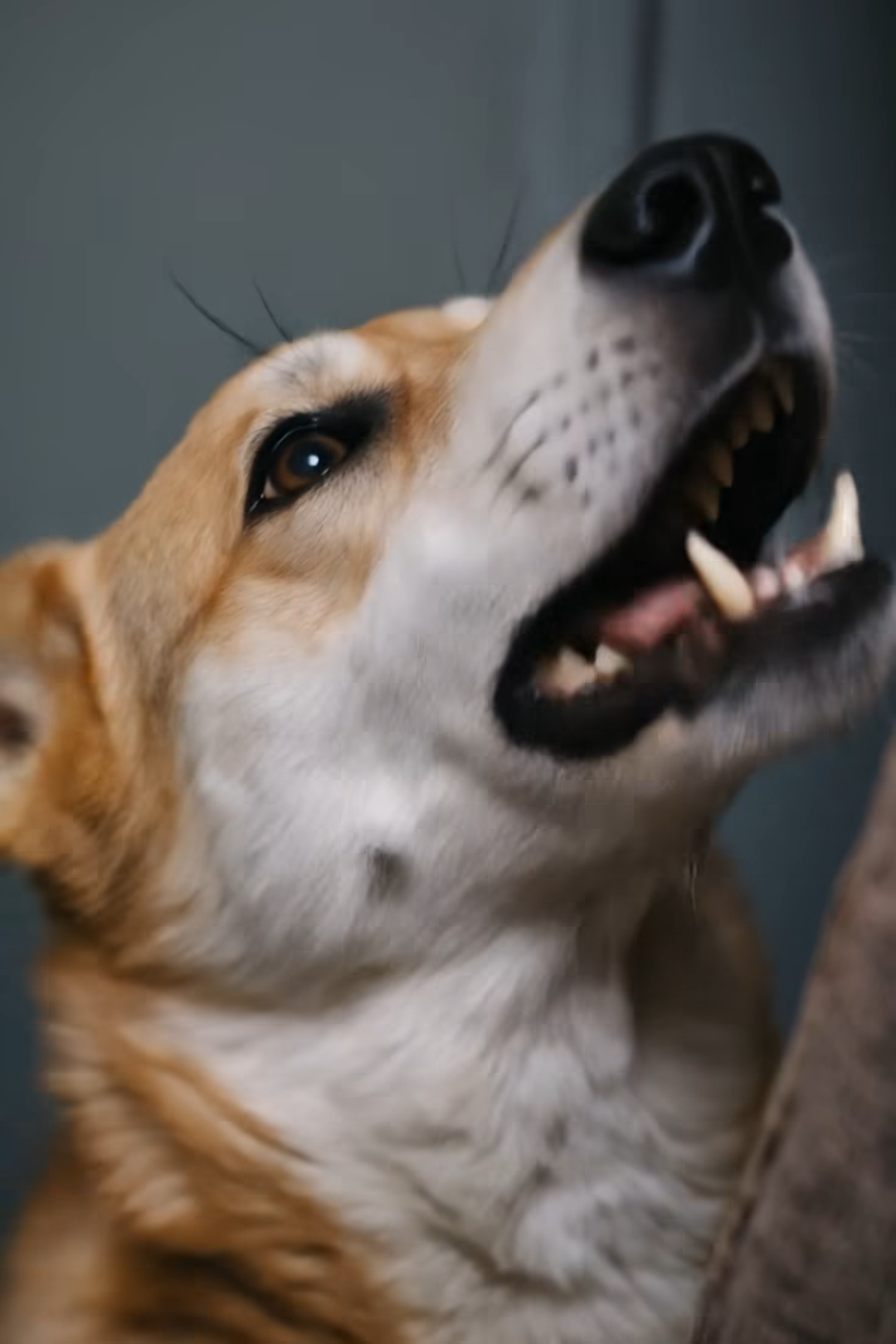 The Door He Wouldn’t Let Me Open