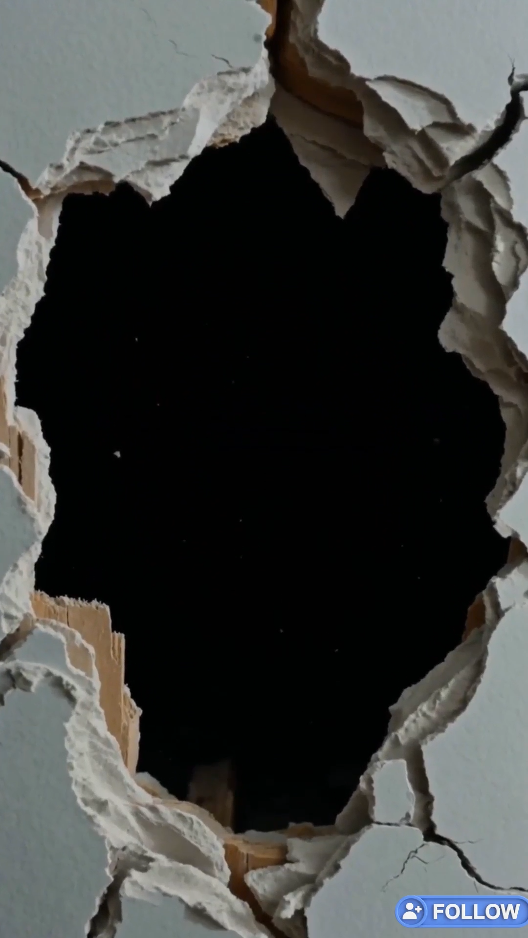 The Millionaire’s Dog Kept Growling at the Wall: What They Found Inside the Cavity Was His Hidden Will...2026