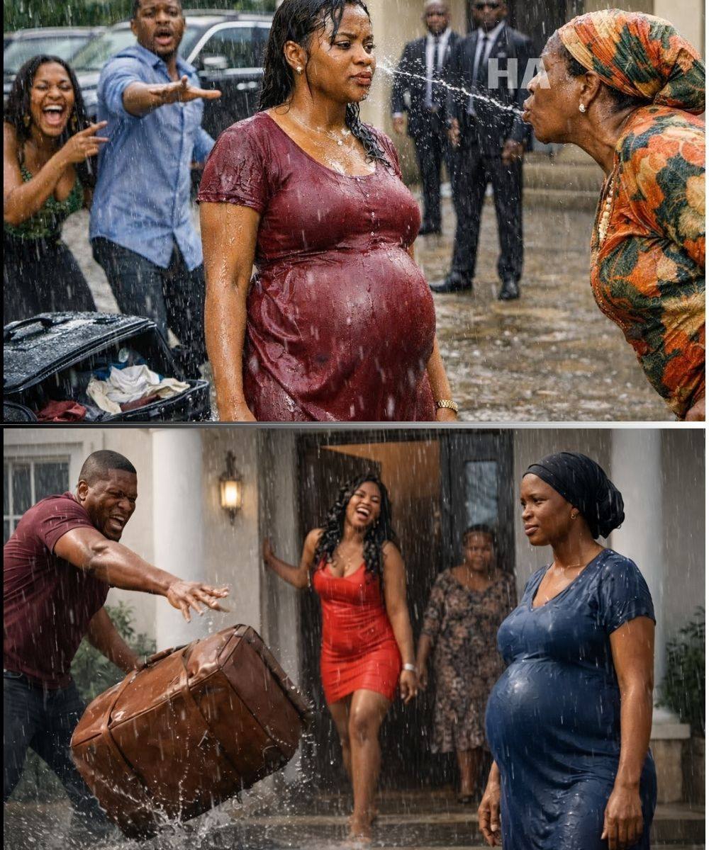 Unaware His Pregnant Wife Was A Trillionaire Boss’s Daughter, He Threw Her Luggage Into The Rain…