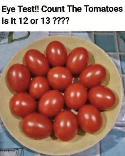 Eye Test!! Count The Tomatoes Is It 12 or 13 ???