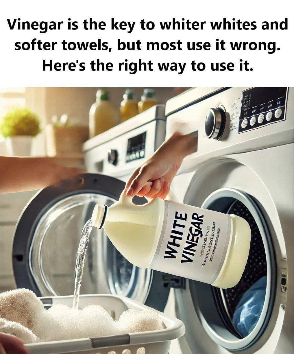 Vinegar: The Key to Whiter Whites and Softer Towels